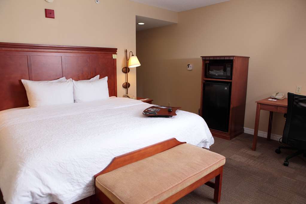 Hampton Inn Martin Habitación foto