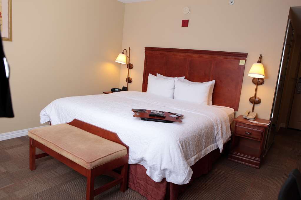 Hampton Inn Martin Habitación foto